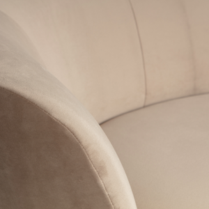 Detail___Close_up___1