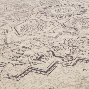 Detail___Close_up___2