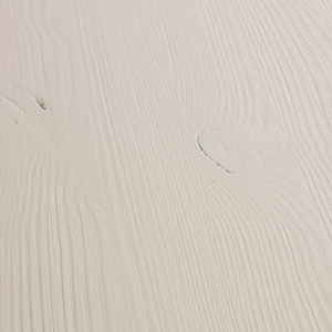 Detail___Close_up___1