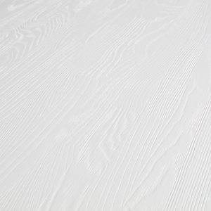 Detail___Close_up___1
