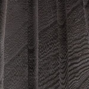 Detail___Close_up___1