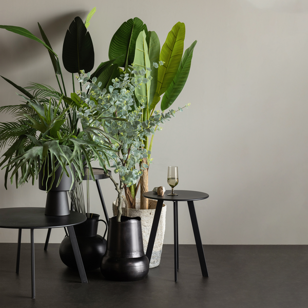 Lifestyle_Group_1