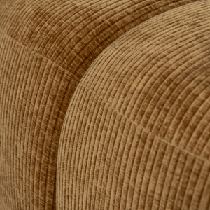 Detail___Close_up___1
