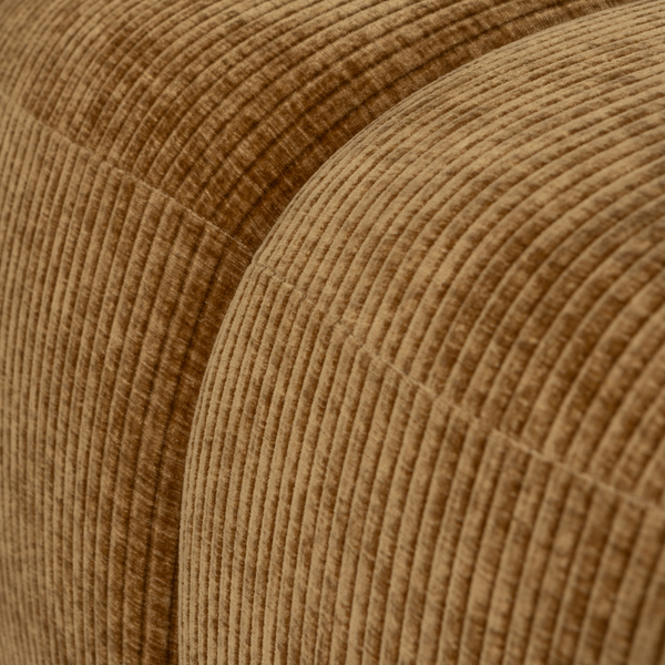 Detail___Close_up___1