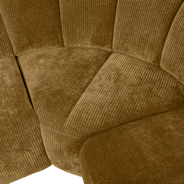 Detail___Close_up___2