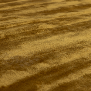 Detail___Close_up___2