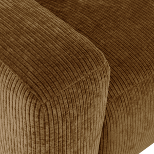 Detail___Close_up___1
