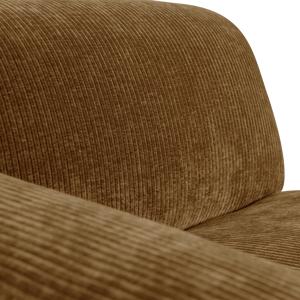 Detail___Close_up___2
