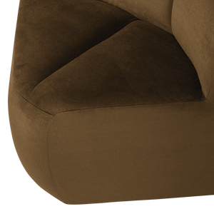 Detail___Close_up___1