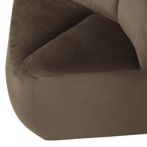 Detail___Close_up___1