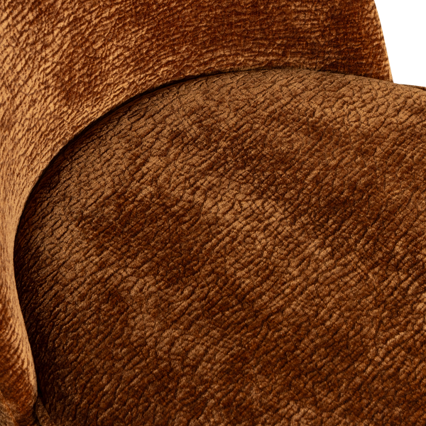 Detail___Close_up___1