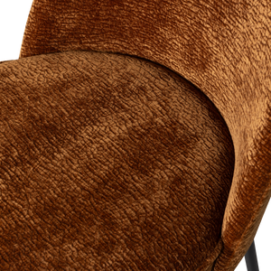Detail___Close_up___1