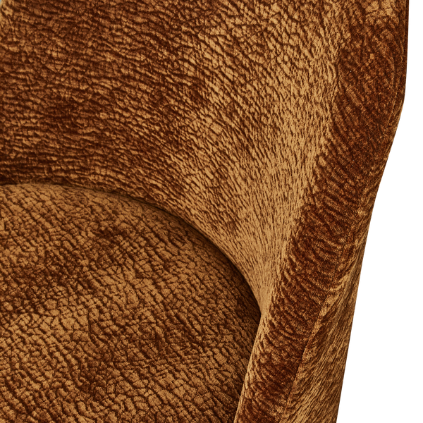 Detail___Close_up___1