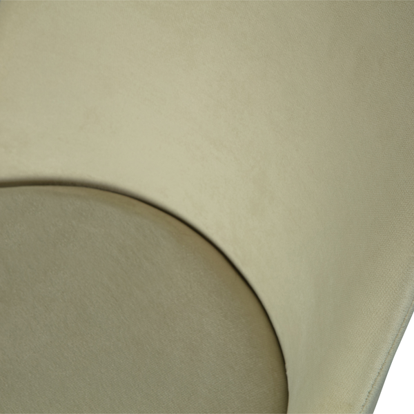 Detail___Close_up___1