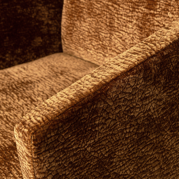 Detail___Close_up___2