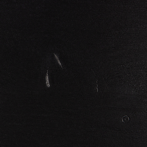 Detail___Fabric___1