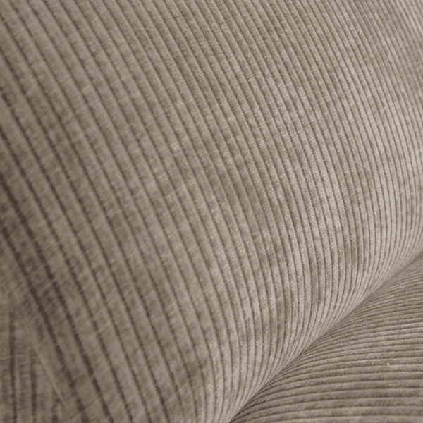 Detail | Close up | 2