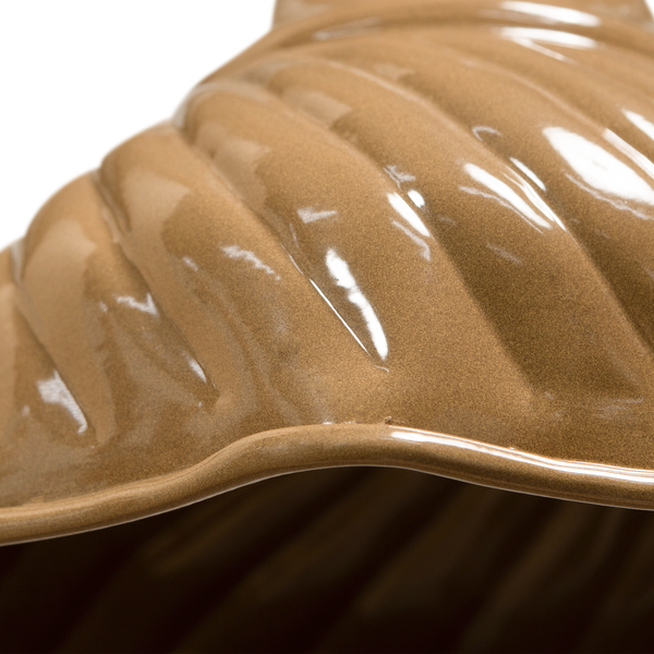 Detail | Close up | 1