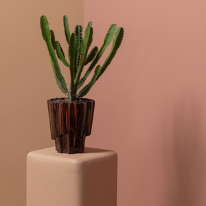 Lifestyle | Group | 2