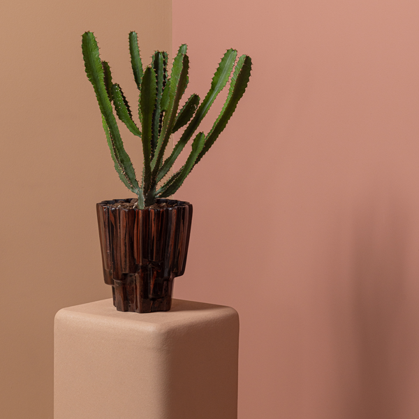 Lifestyle | Group | 2