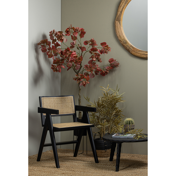 Gunn dining chair rattan/wood black, room setting