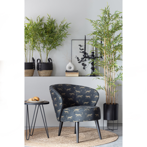 Lifestyle | Group | 1